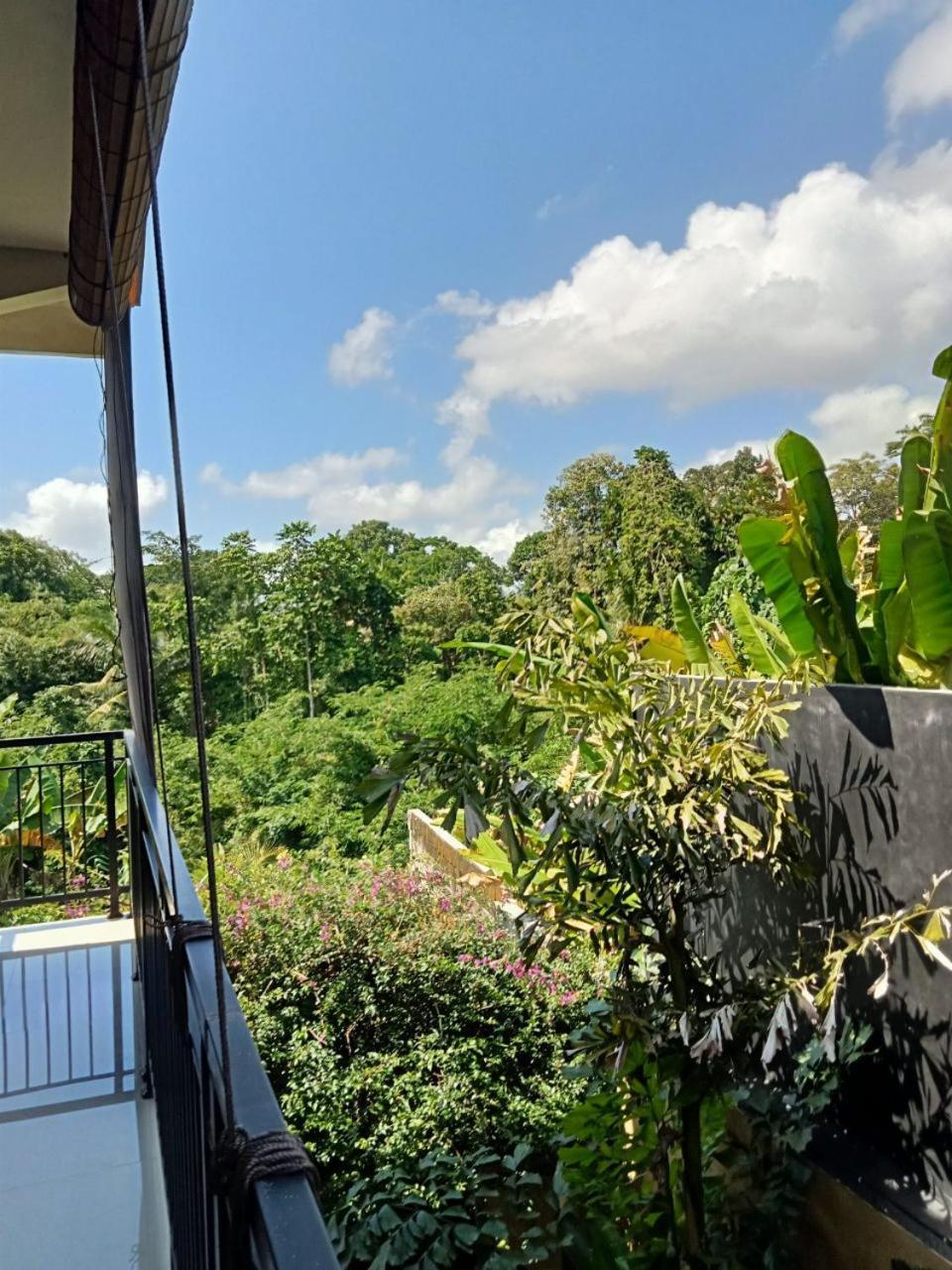 Lavista Guesthouse Ubud Dış mekan fotoğraf